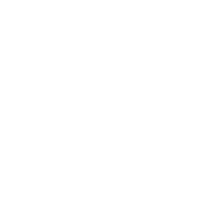 TAMU System logo seal